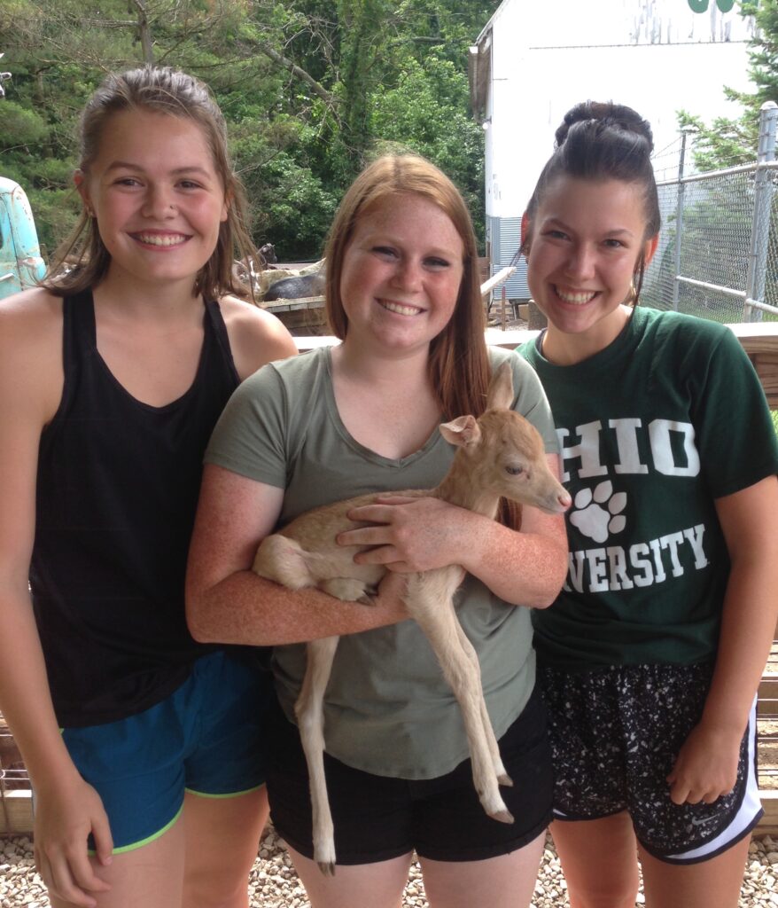 three girls with baby deer