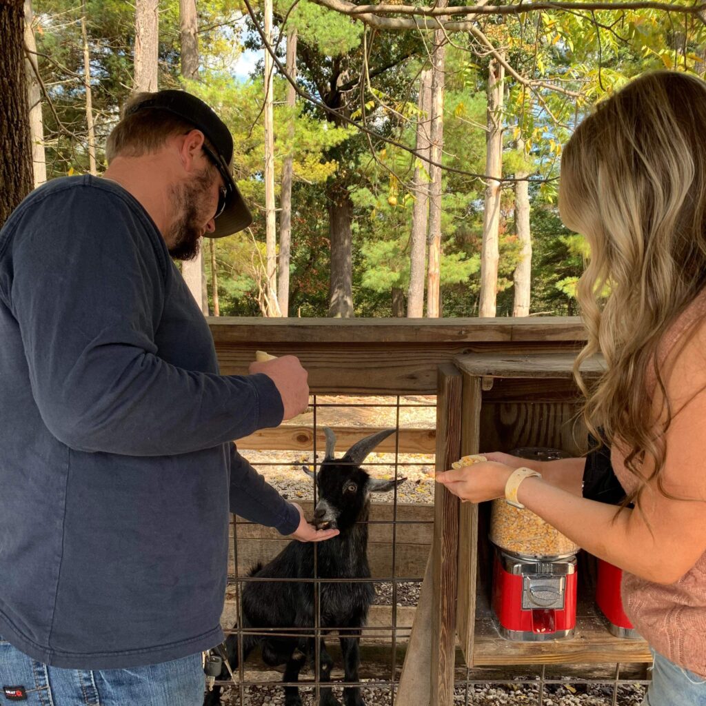 Couple feeding a goat.